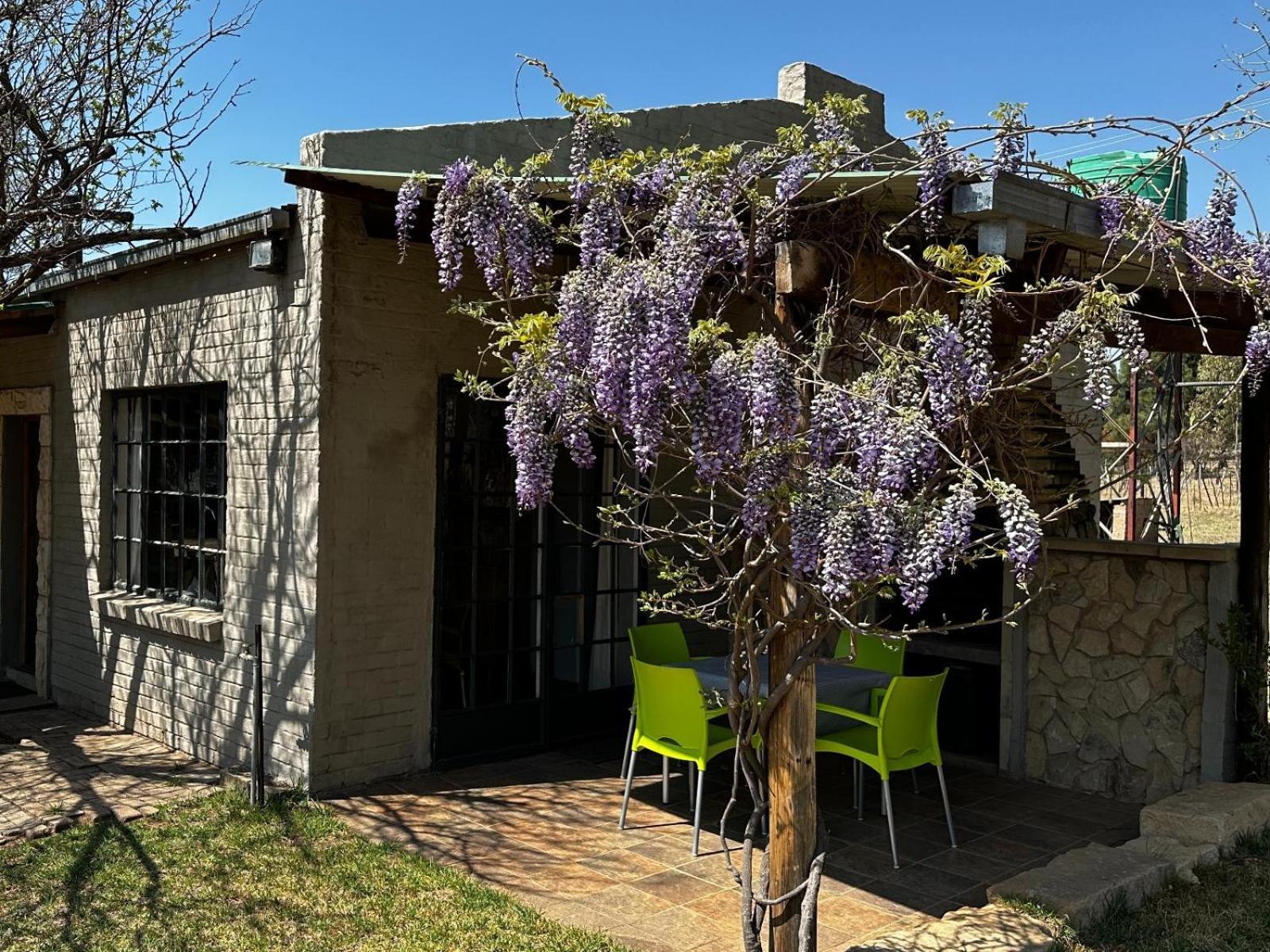 Rusplaas Guest Farm Hotel Fouriesburg Bagian luar foto